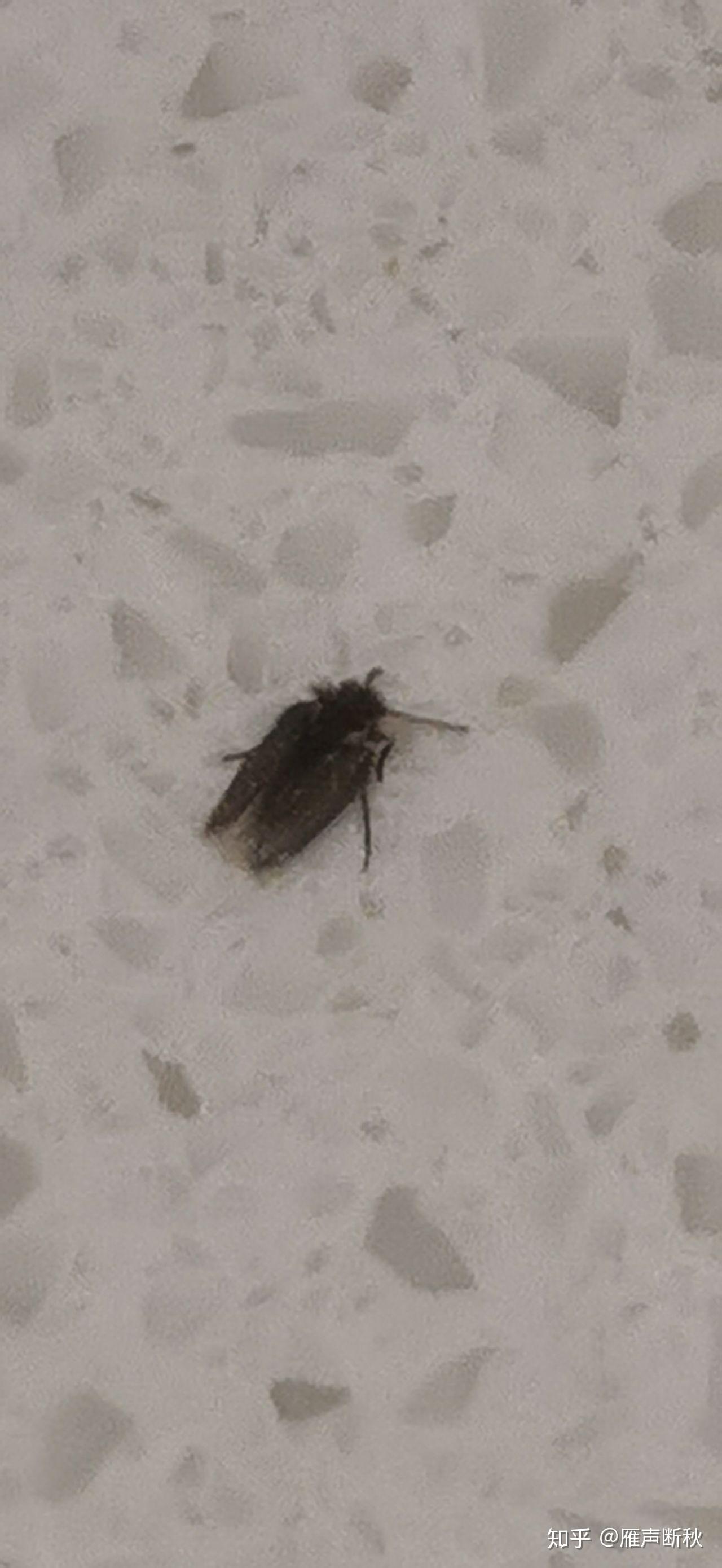 娱乐生活 第72页